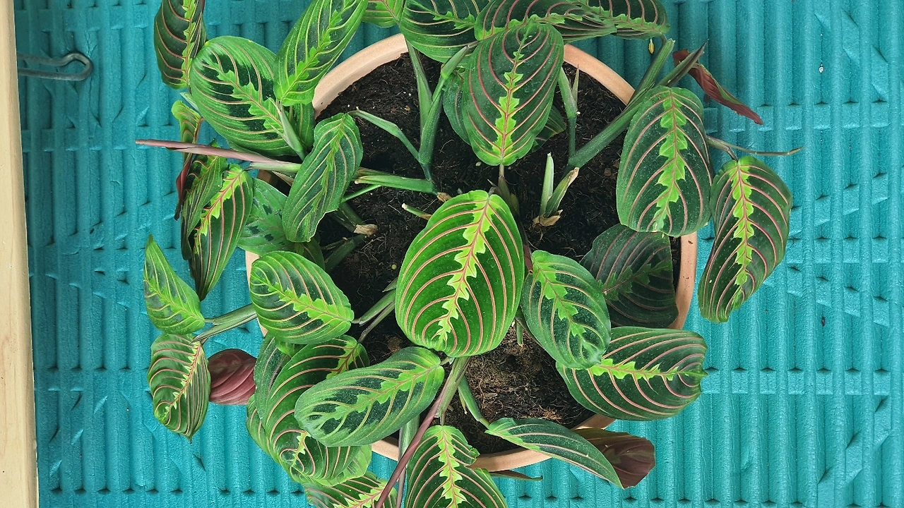 KakaoTalk_Photo_2022-06-02-13-51-02 010.jpeg