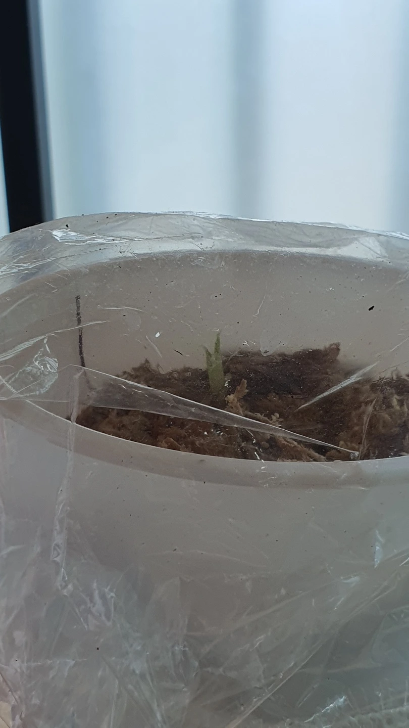 KakaoTalk_Photo_2022-08-07-18-46-59 001.jpeg