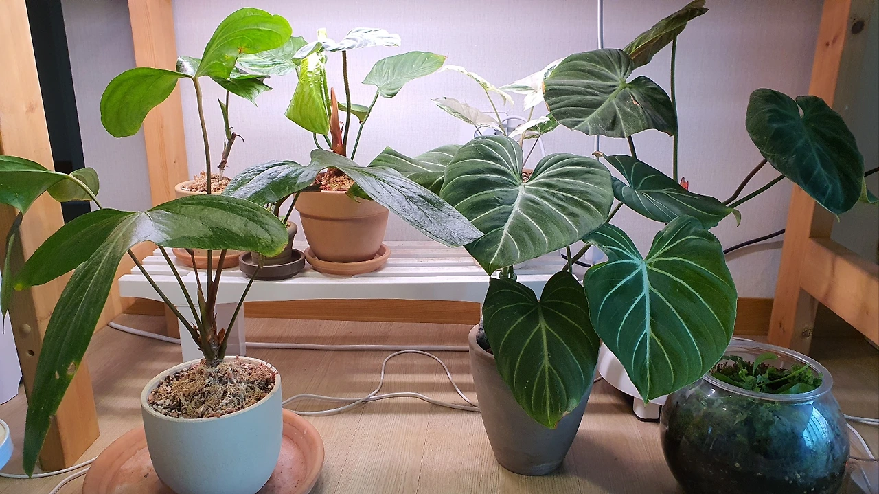 KakaoTalk_Photo_2023-07-21-22-17-34 008.jpeg