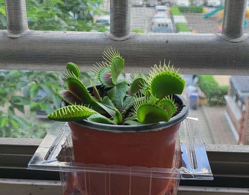 KakaoTalk_Photo_2022-04-01-19-13-10 001.jpeg