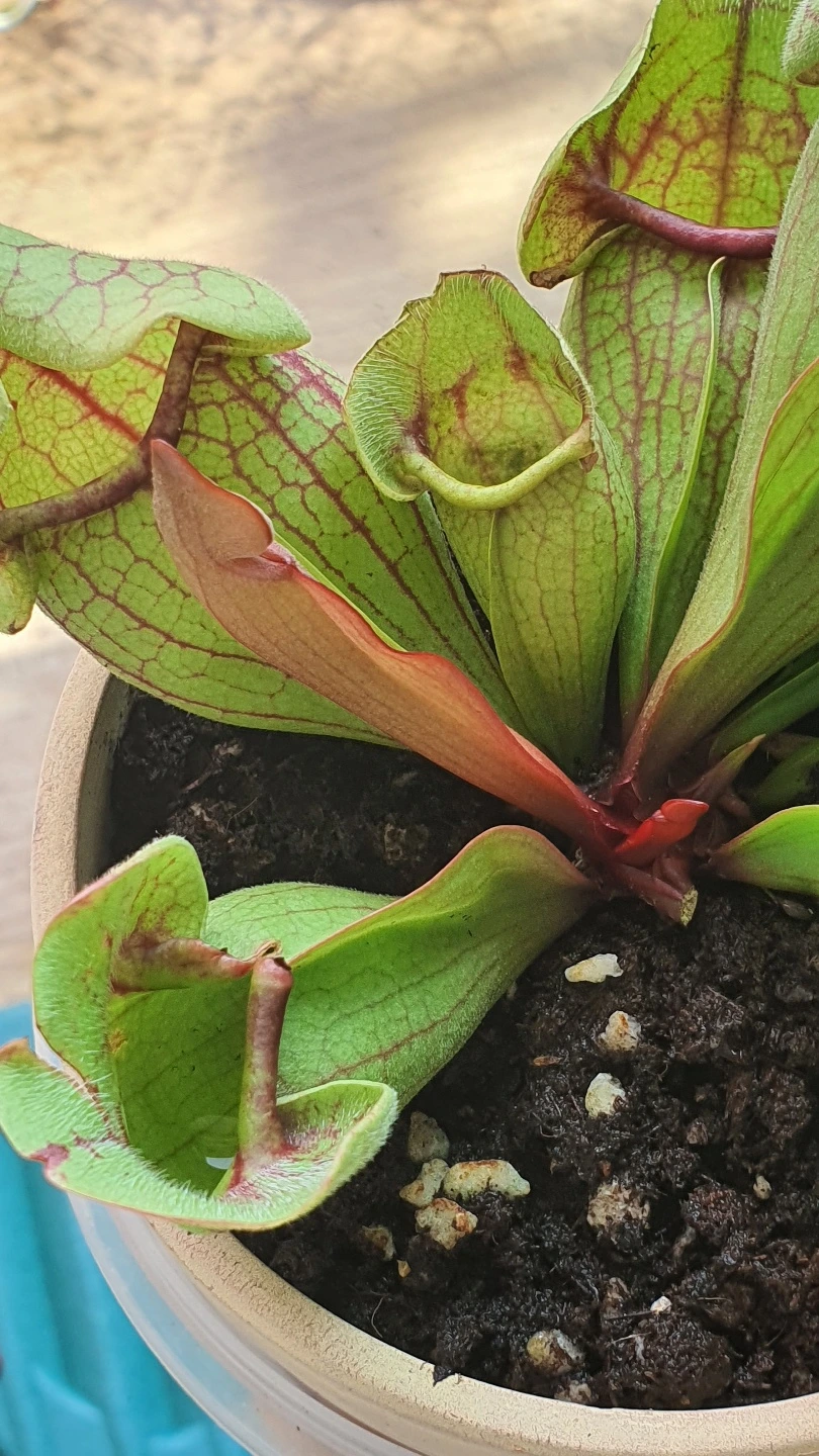 KakaoTalk_Photo_2022-06-02-13-51-02 013.jpeg