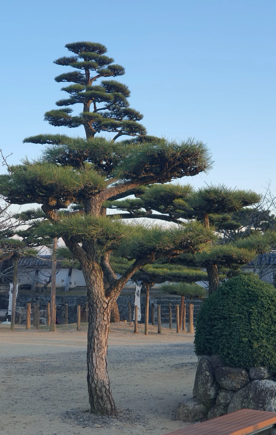 KakaoTalk_Photo_2024-01-27-20-46-53 004.jpeg