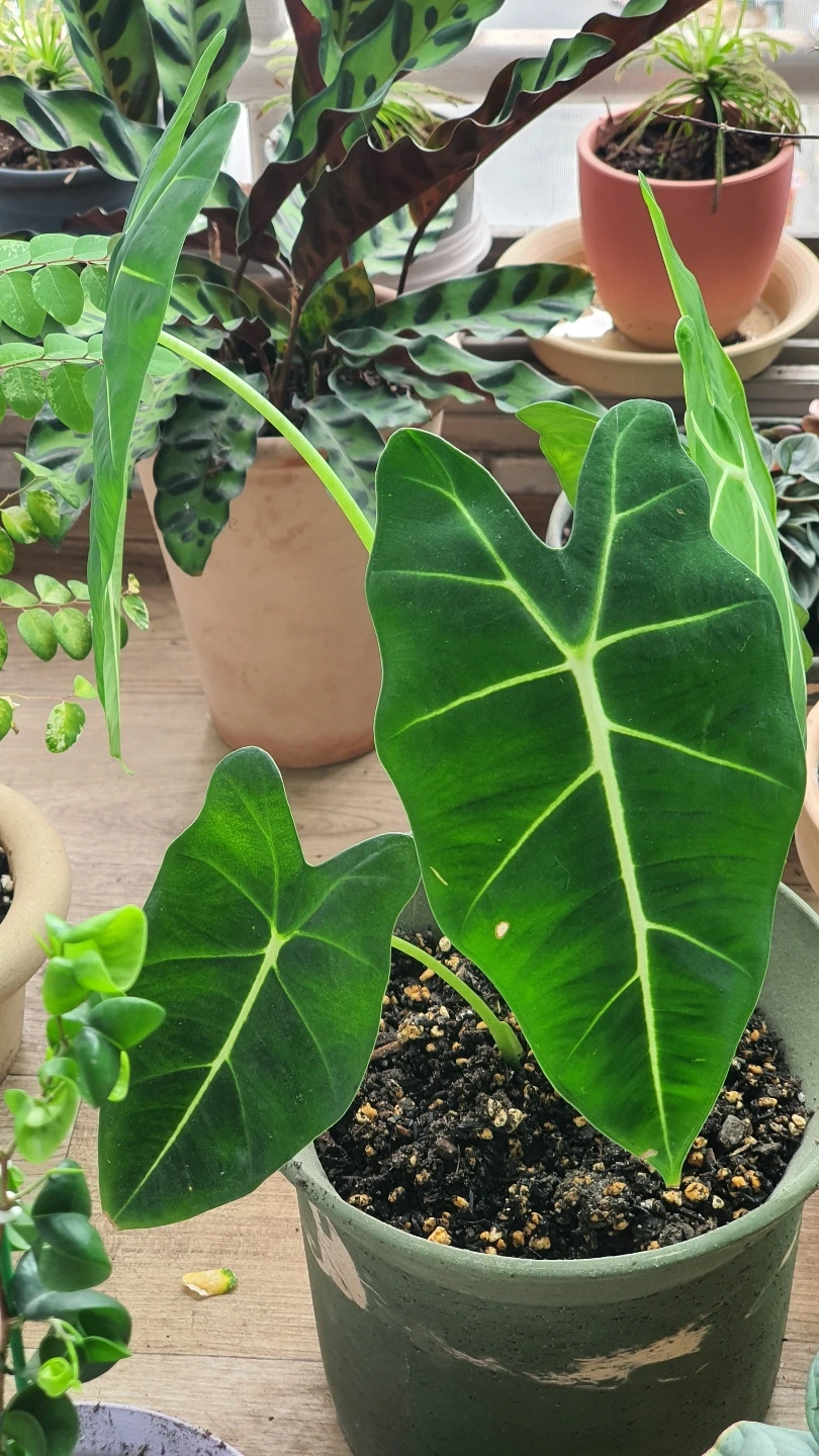 KakaoTalk_Photo_2022-08-07-18-03-31 002.jpeg