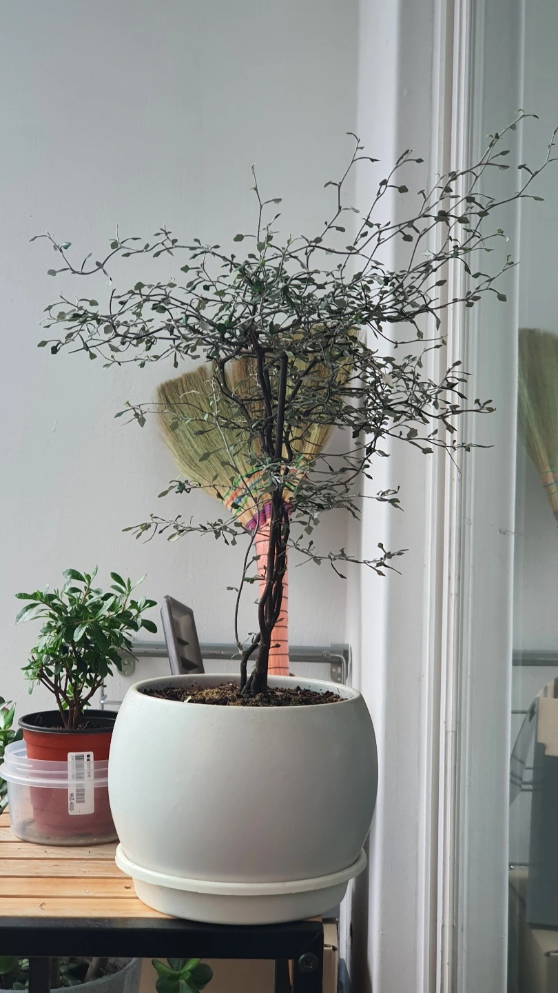 KakaoTalk_Photo_2022-06-02-13-51-02 018.jpeg