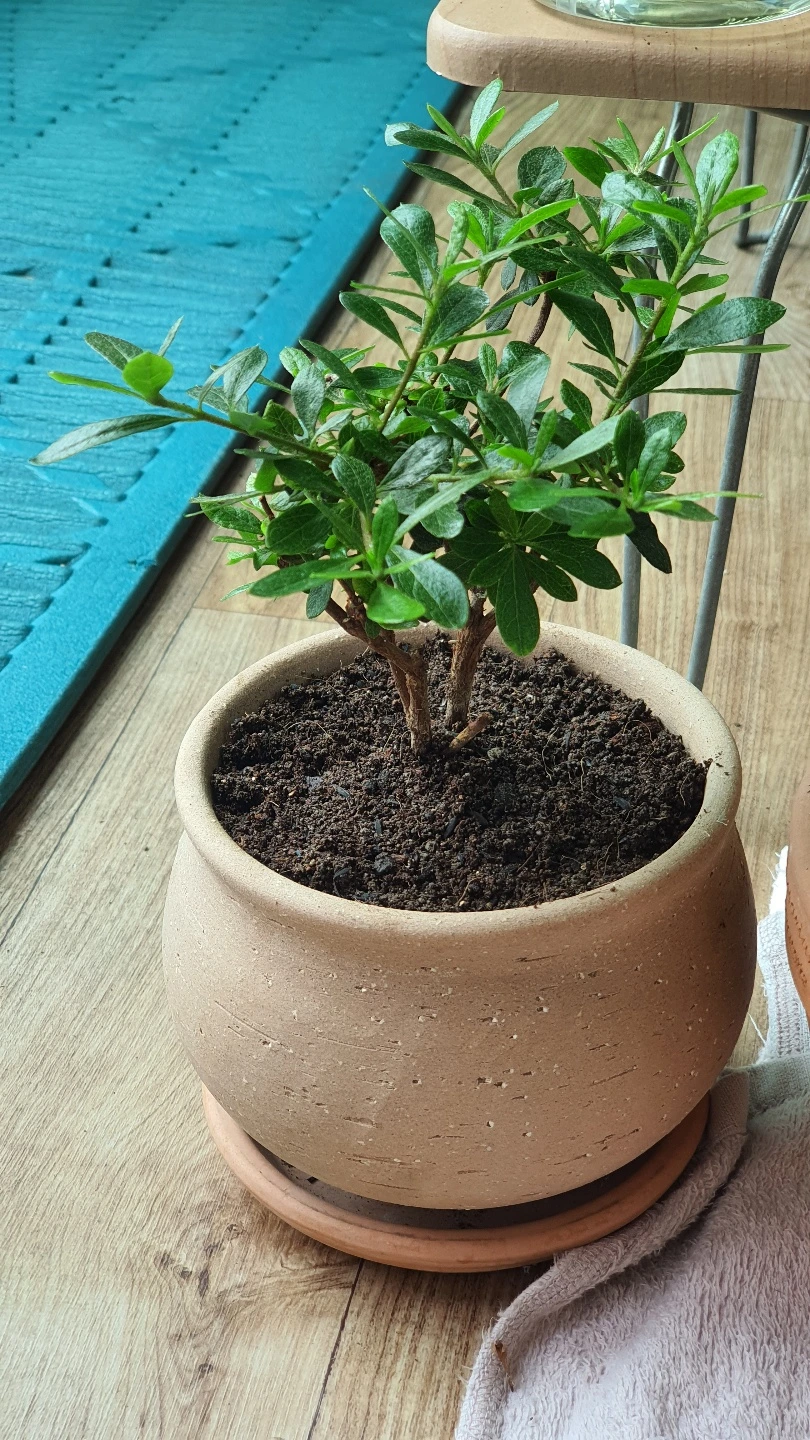 KakaoTalk_Photo_2022-06-28-14-27-59 002.jpeg