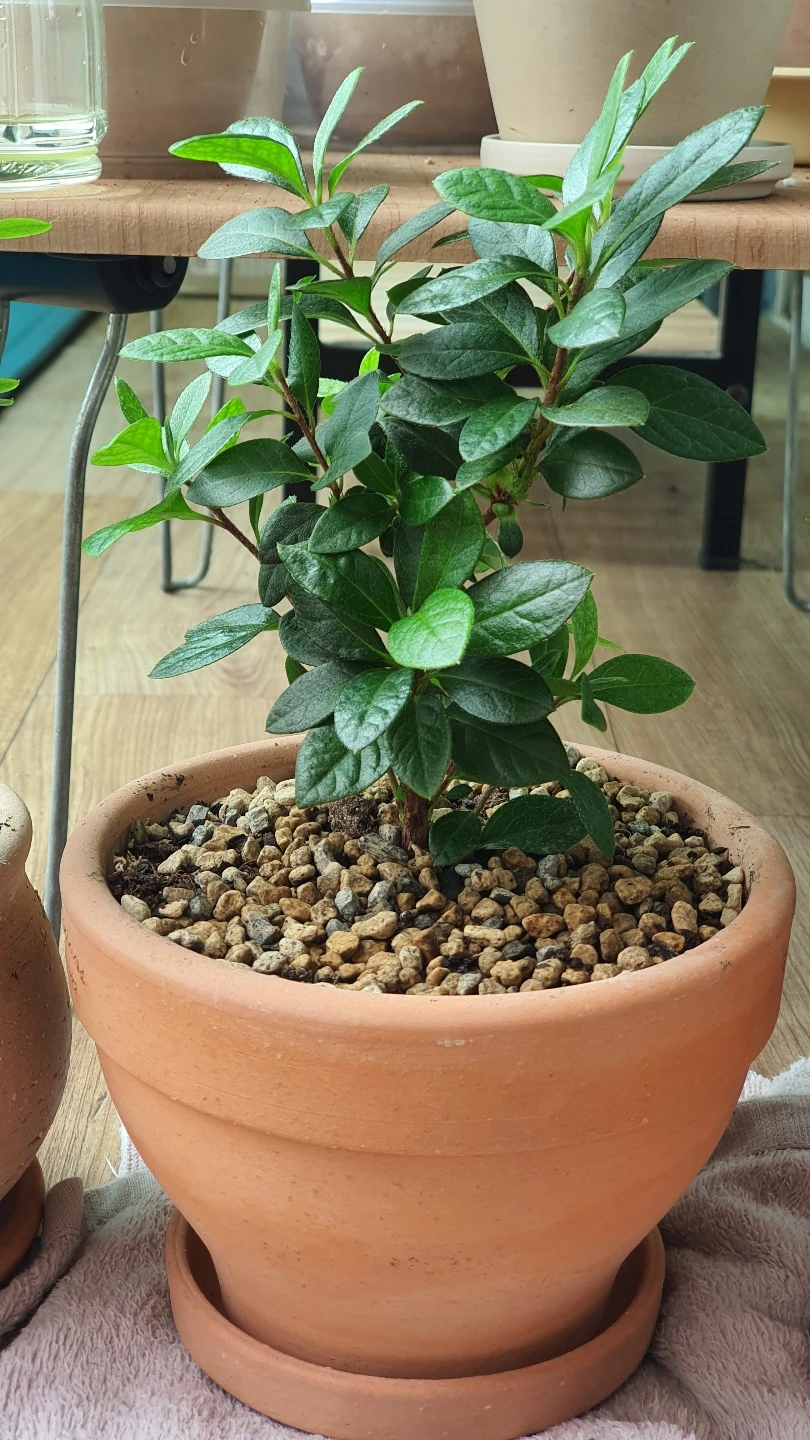 KakaoTalk_Photo_2022-06-28-14-27-59 003.jpeg