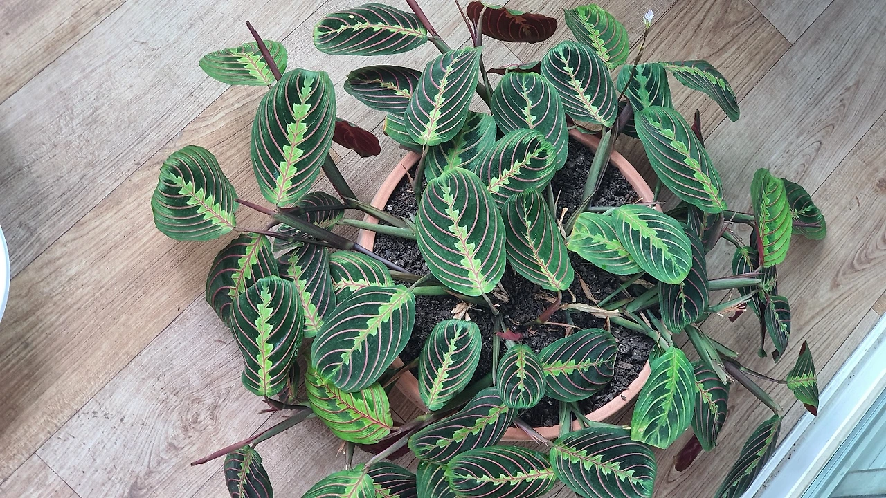 KakaoTalk_Photo_2022-08-07-18-03-31 004.jpeg