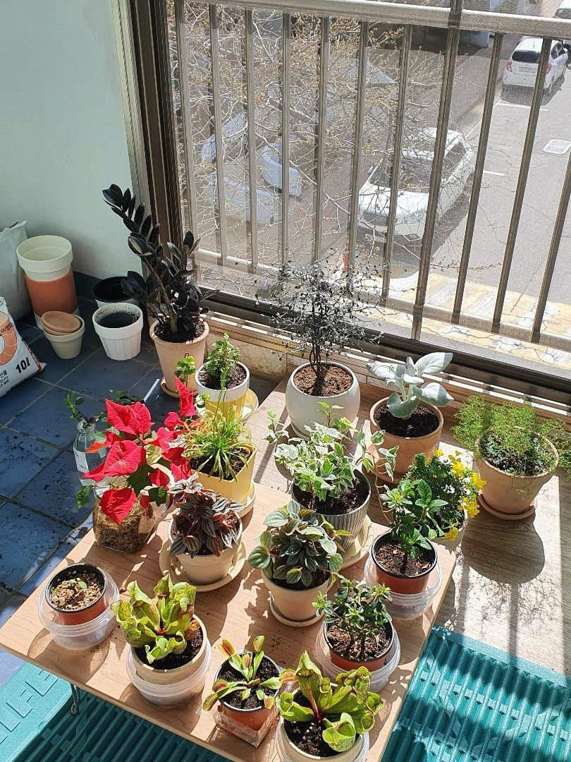 KakaoTalk_Photo_2022-04-01-19-13-12 003.jpeg