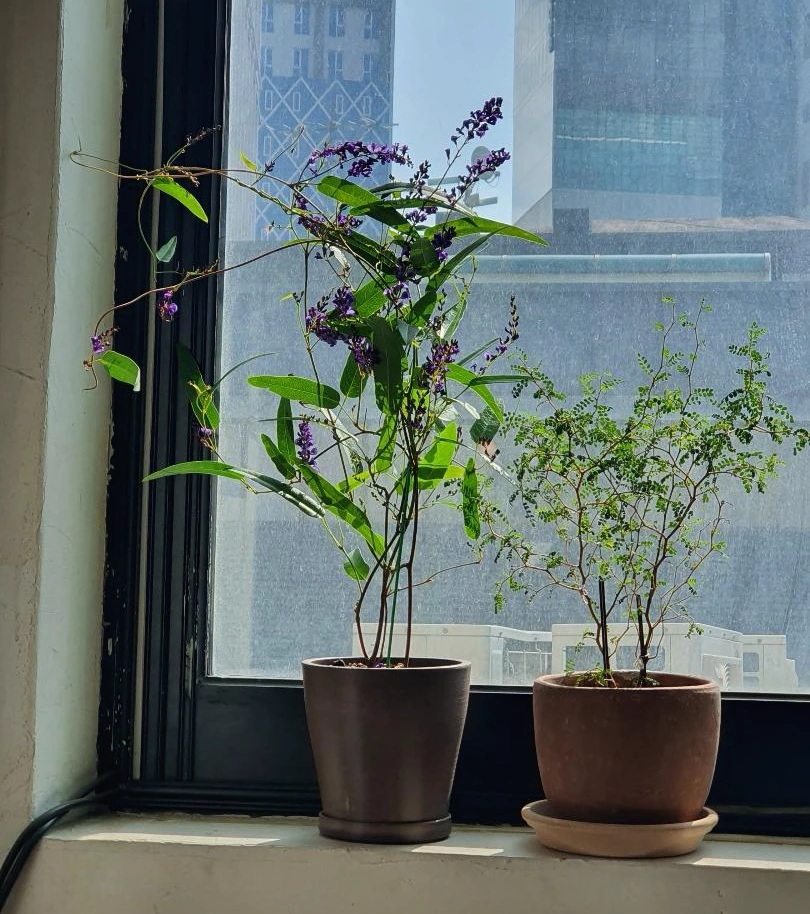 KakaoTalk_Photo_2022-07-12-21-19-30 001.jpeg