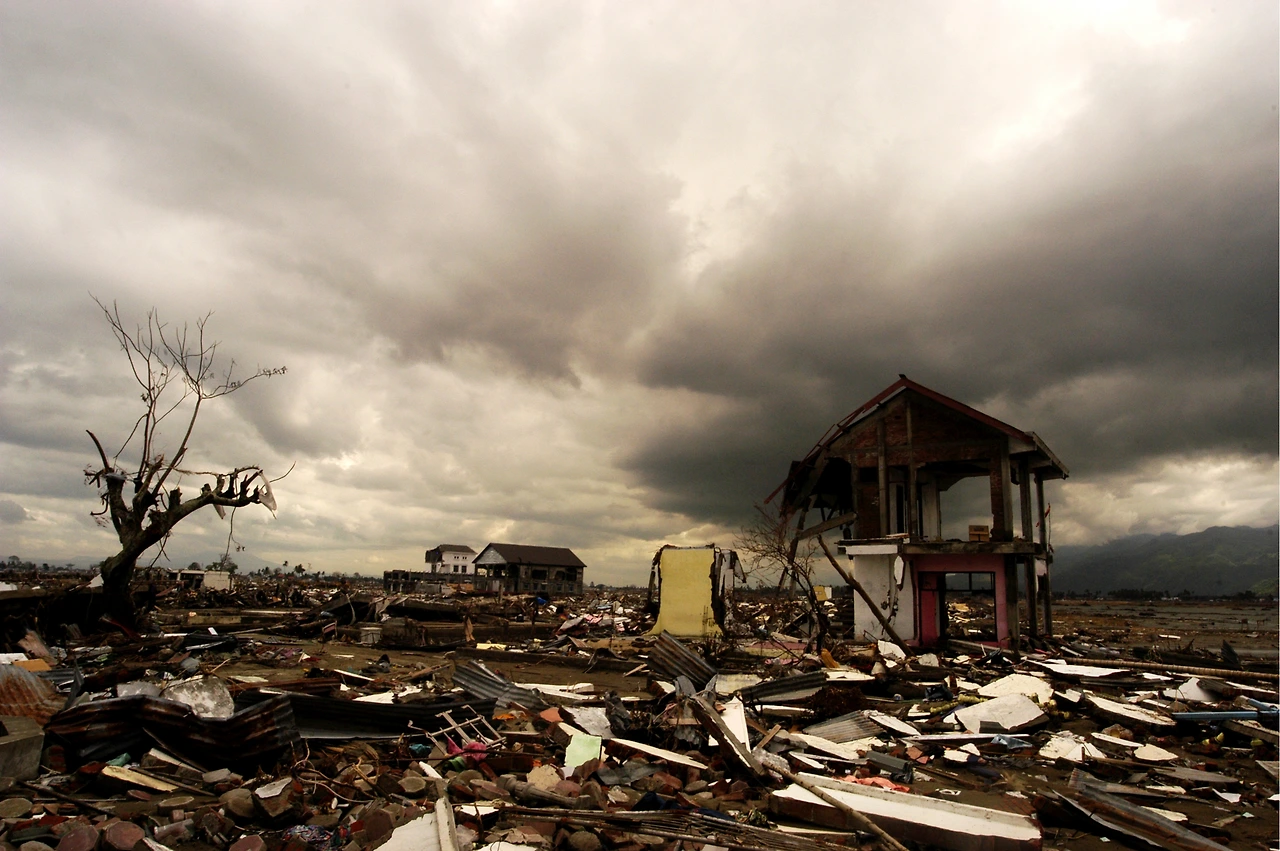 WF180525 IDN_20050110_WFP-Rein_Skullerud_0336.JPG