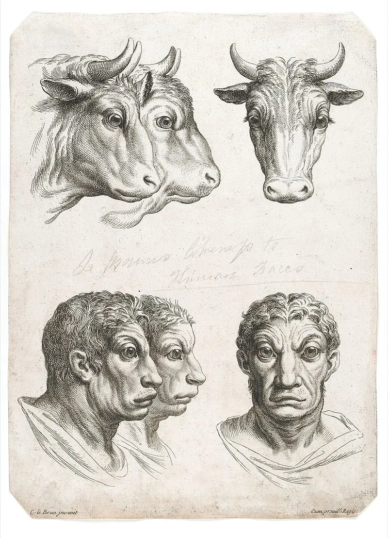 7-cow-physiognomy-humans-evolution-charles-le-brun.jpeg
