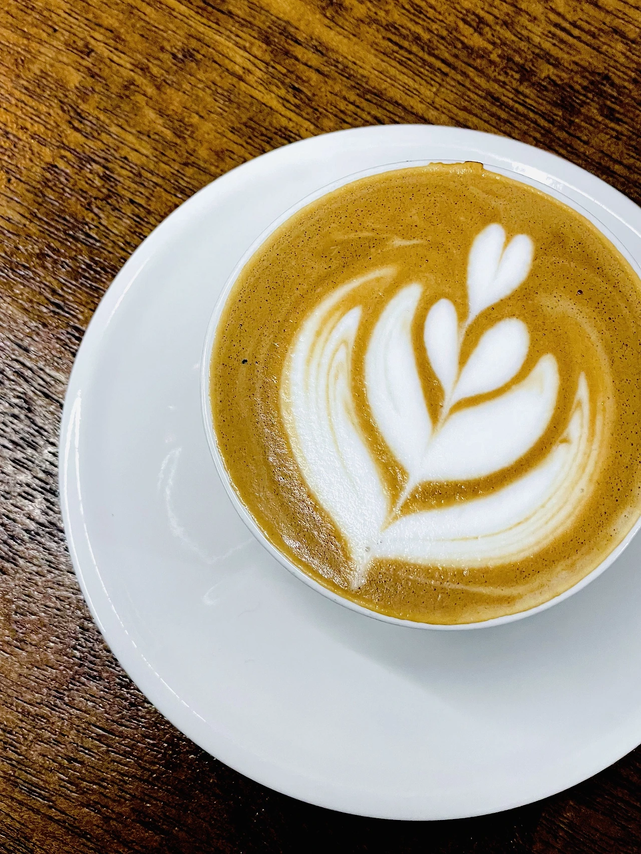 65de9aa91ef28.jpg?imgSeq=15555