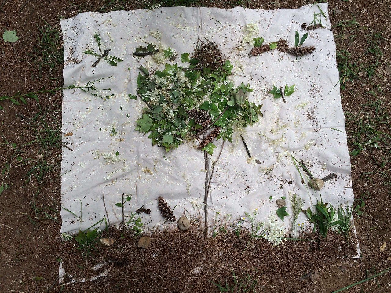 6602a09d4dffe.JPG?imgSeq=18807