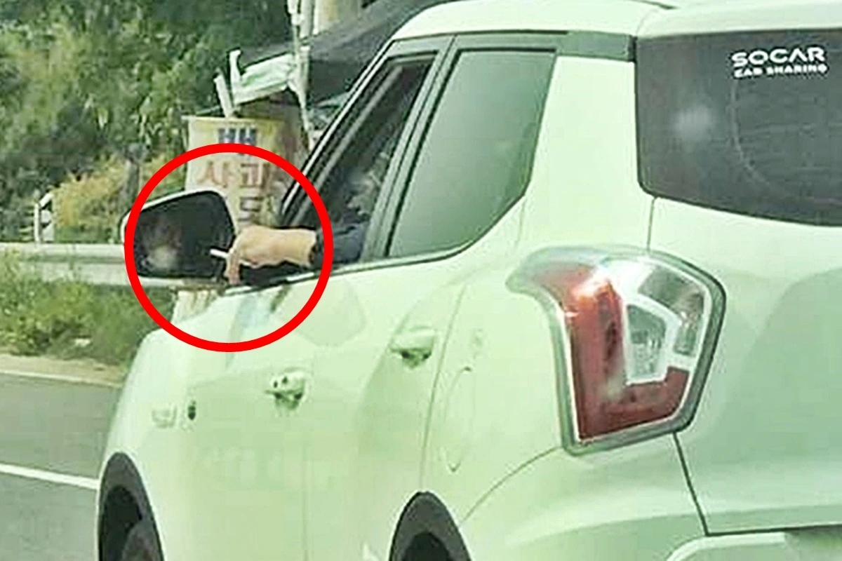 0_쏘카 차내 흡연 감지 장비 도입.jpeg