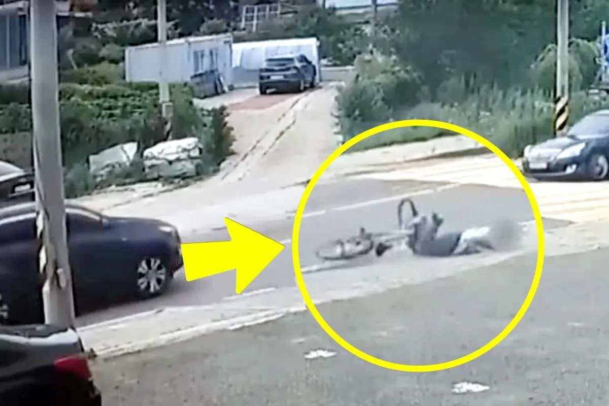 자동차 장풍.JPG