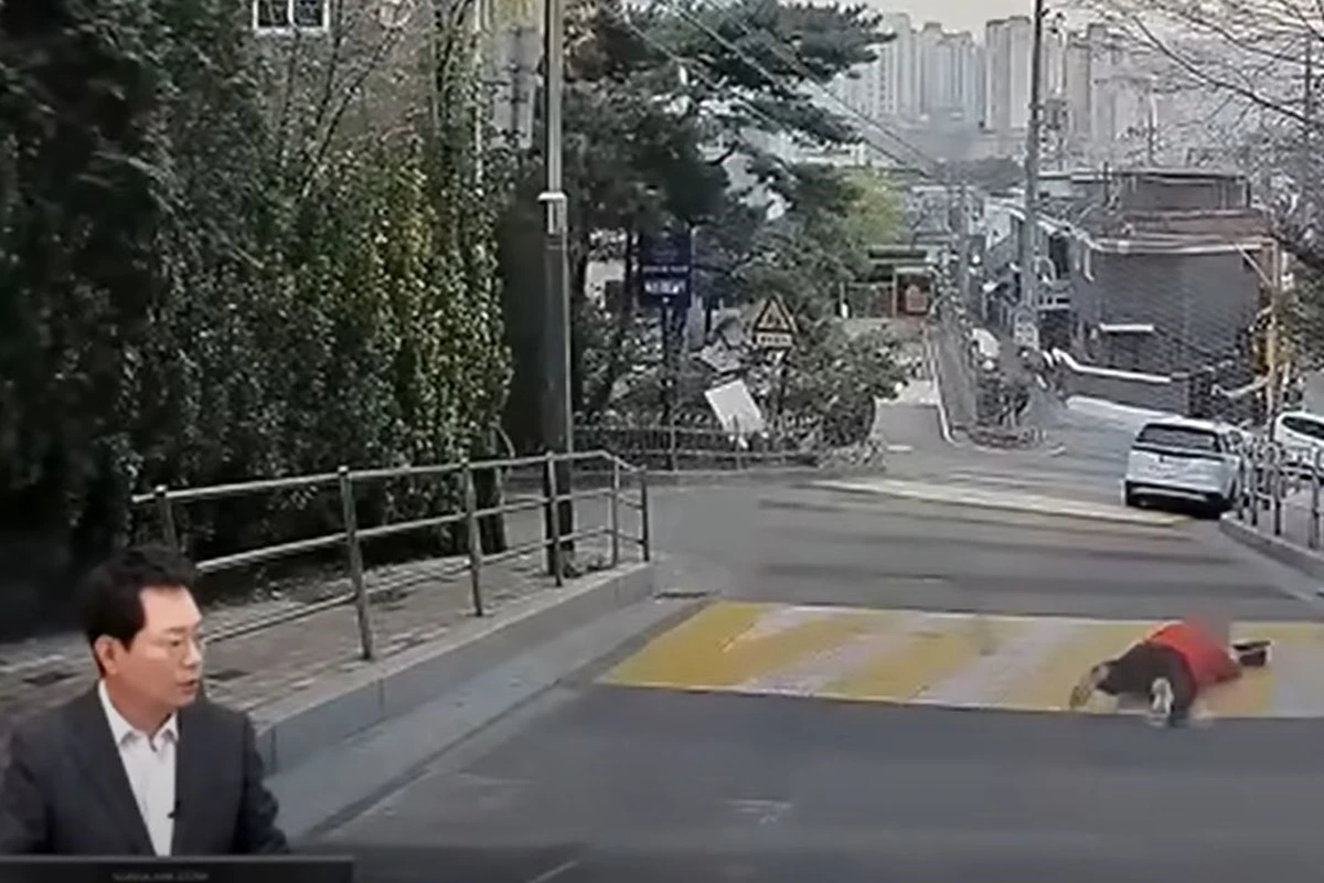 아웃 한문철 경적2.JPG