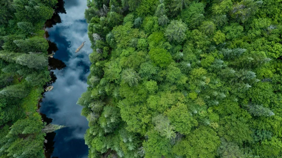 134036181962176696.jpg?type=w1