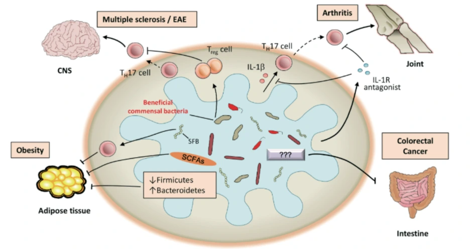 %EC%9E%A5%EB%82%B4%EB%AF%B8%EC%83%9D%EB%AC%BC%EA%B3%BC_%EC%A7%88%ED%99%98.PNG?type=w1