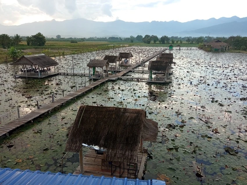 IMG_20221128_170513.jpg?type=w1600