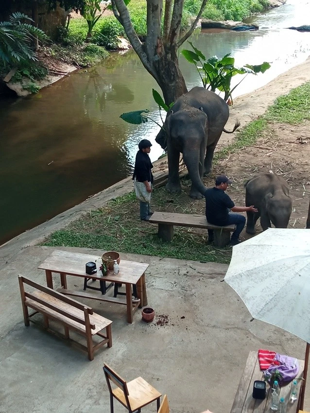 IMG_20221215_145153.jpg?type=w1600