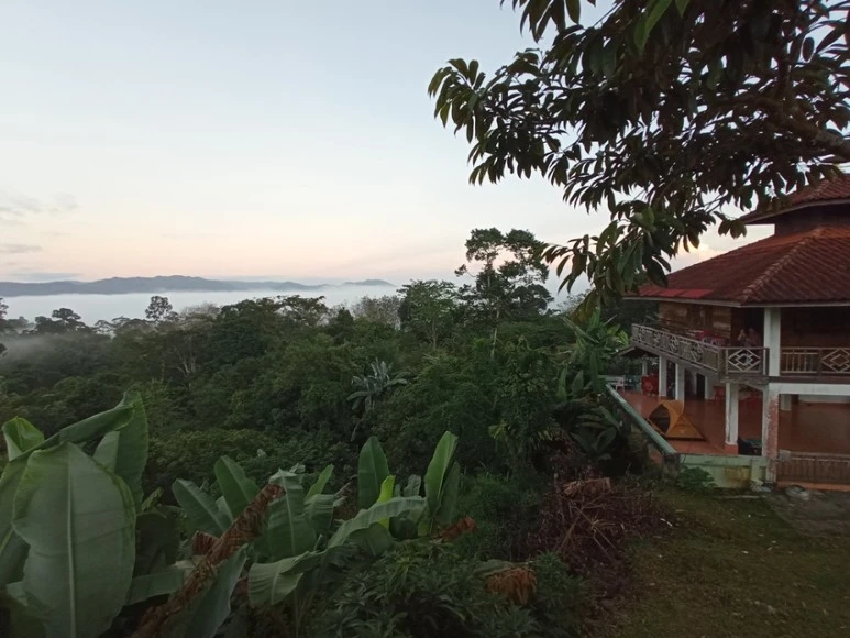 IMG_20201114_060143.jpg?type=w773