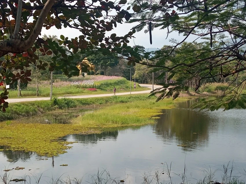 IMG_20221214_131017.jpg?type=w1600