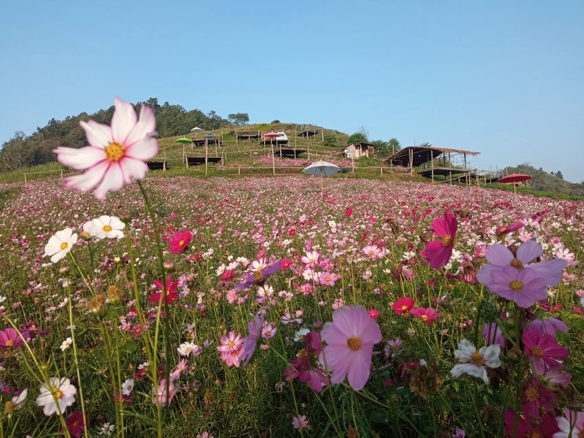 IMG_20221215_075635.jpg?type=w1600