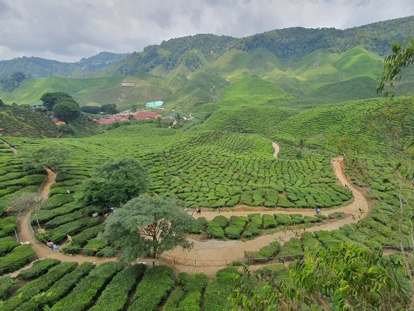 20250612_113750.jpg?type=w1600