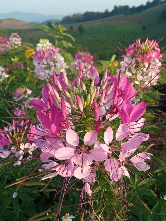 IMG_20221215_073840.jpg?type=w1600