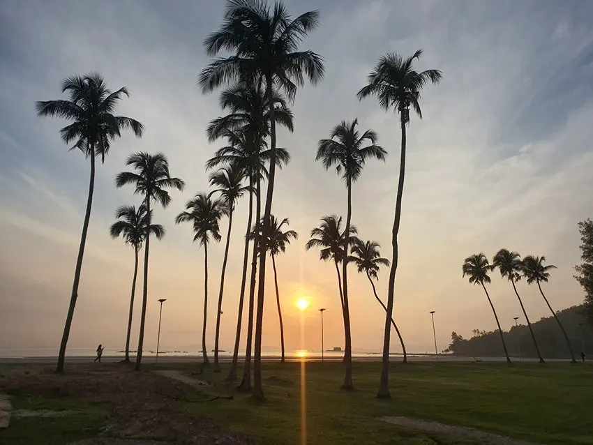 20250801_072838.jpg?type=w1600