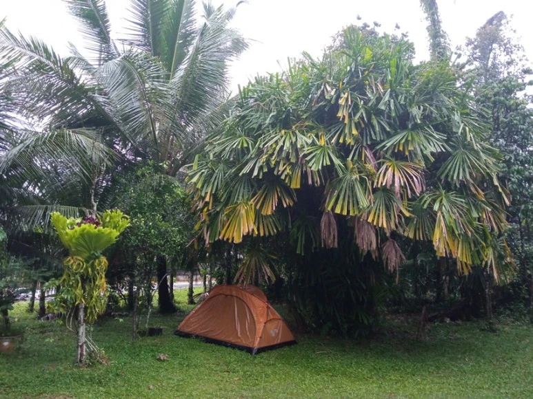 IMG_20201117_063358.jpg?type=w773