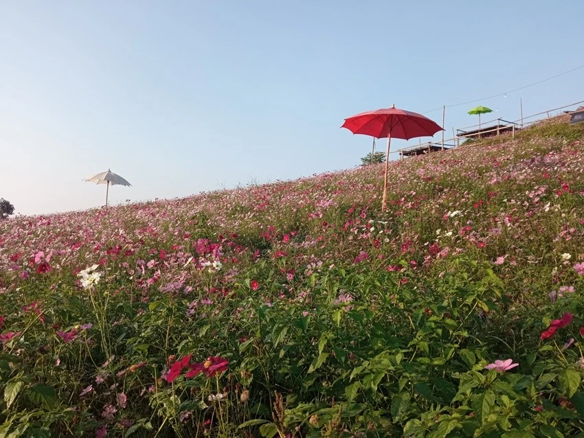 IMG_20221215_075757.jpg?type=w1600