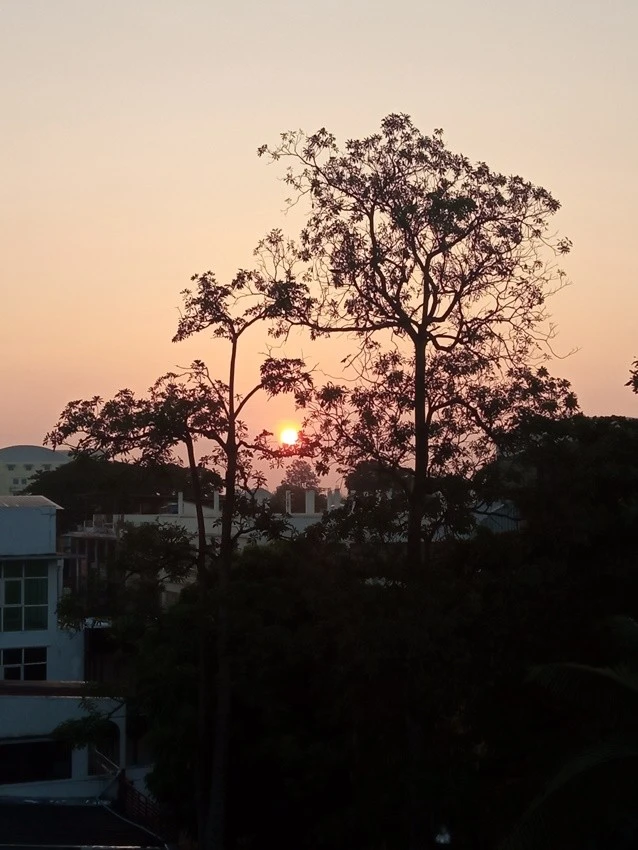 IMG_20221217_070629.jpg?type=w1600