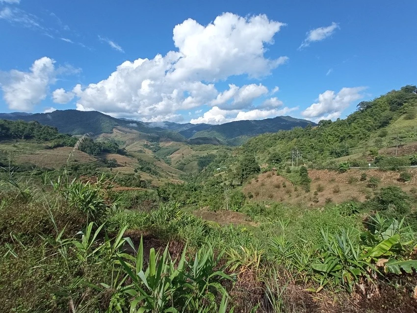 IMG_20221129_134413.jpg?type=w1600