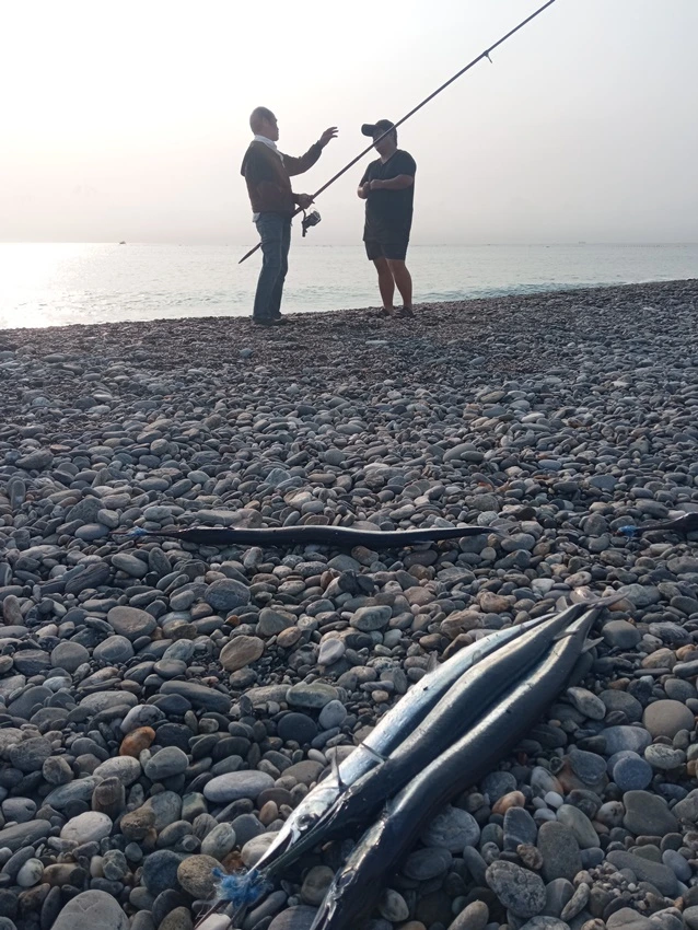 IMG_20230418_070836.jpg?type=w1