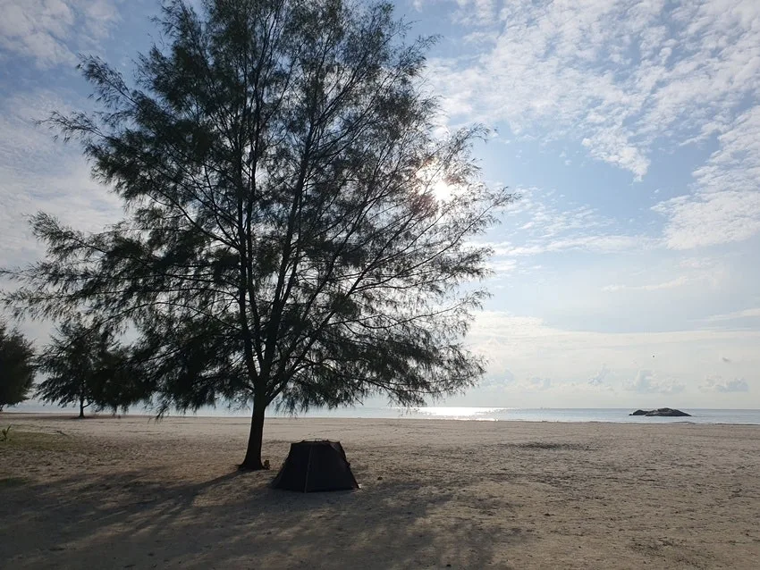 20250806_083232.jpg?type=w1600