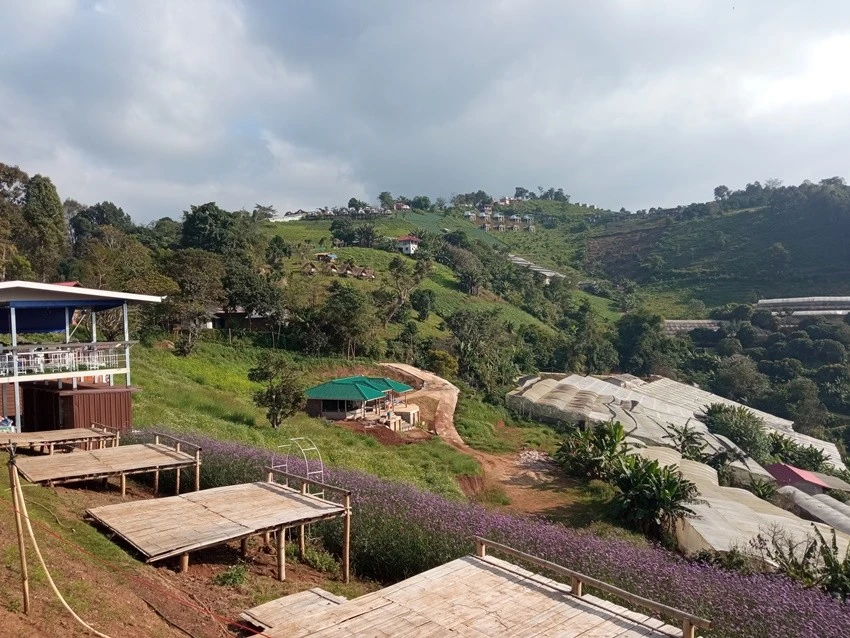 IMG_20221215_152512.jpg?type=w1600