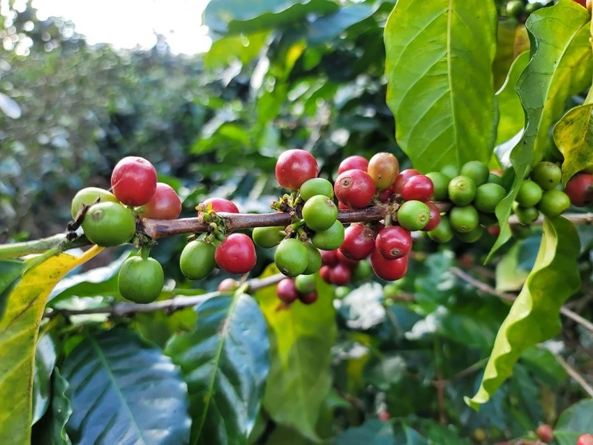 KakaoTalk_20221224_122547377_12.jpg?type=w1600