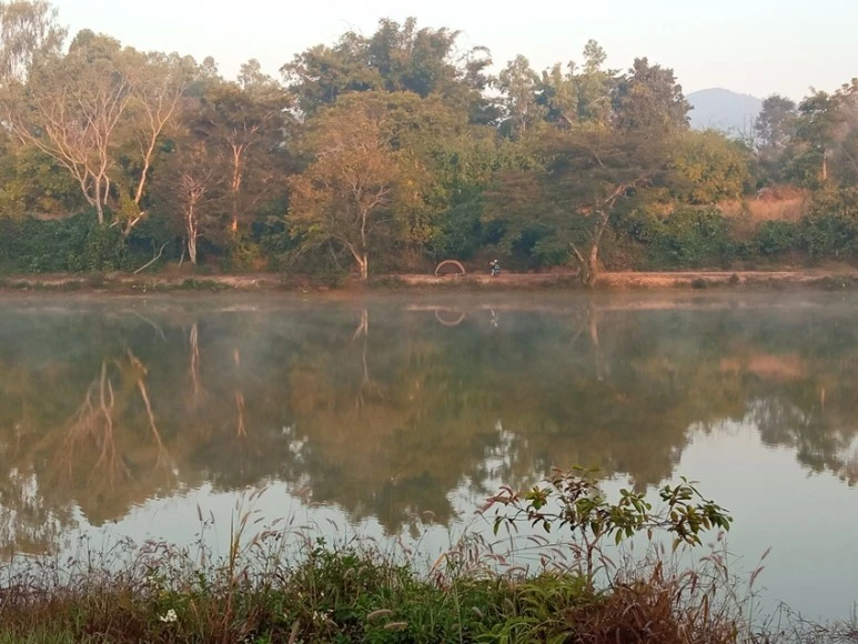 IMG_20221222_072435.jpg?type=w773