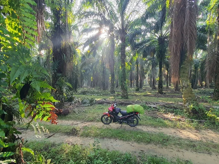 20250707_084155.jpg?type=w1600