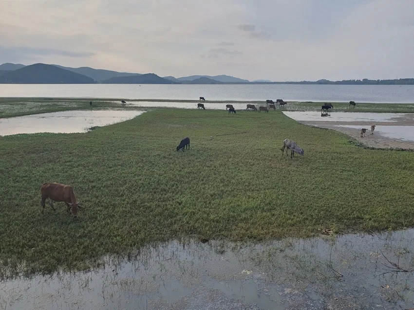 20250503_170434.jpg?type=w1600