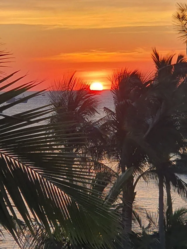 20241218_174533.jpg?type=w1600