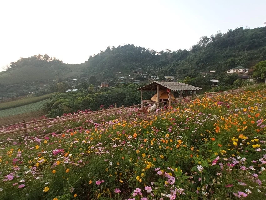 IMG_20221215_065225.jpg?type=w1600