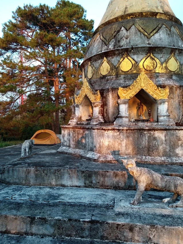 IMG_20201204_070615.jpg?type=w773