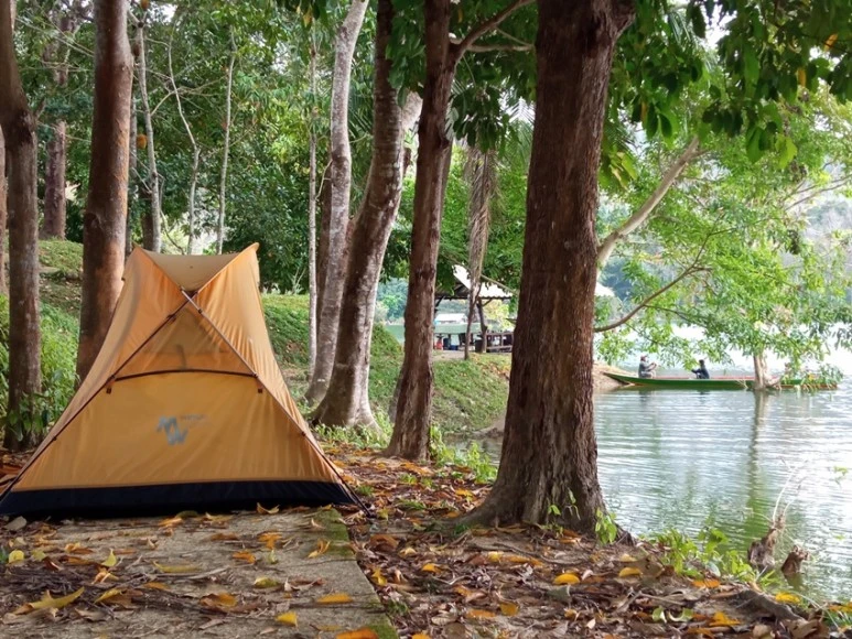 IMG_20210201_095544.jpg?type=w773