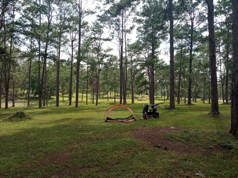 IMG_20220526_151450.jpg?type=w773