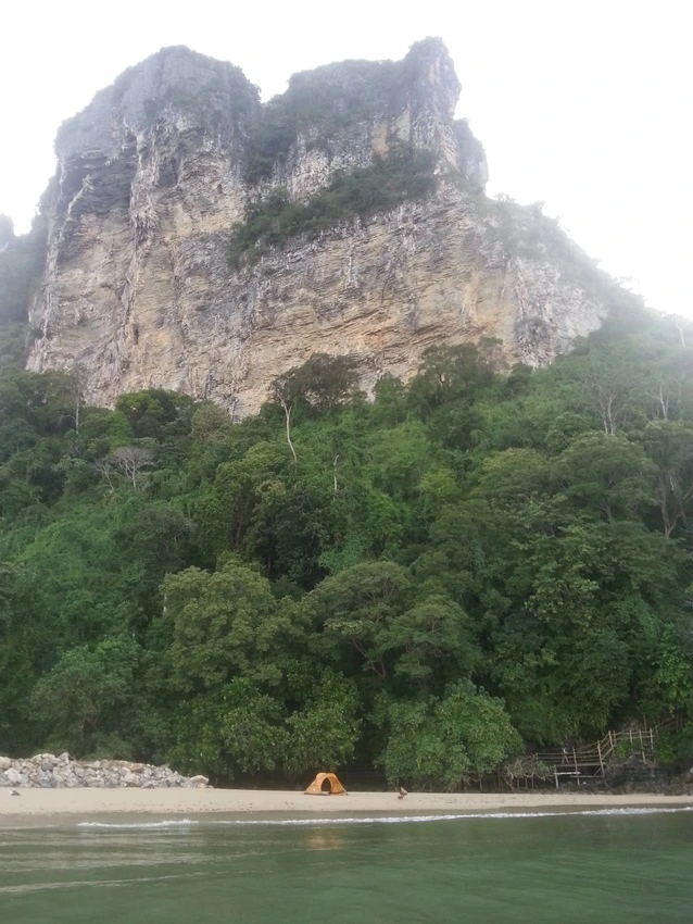 20200818_063609.jpg?type=w773