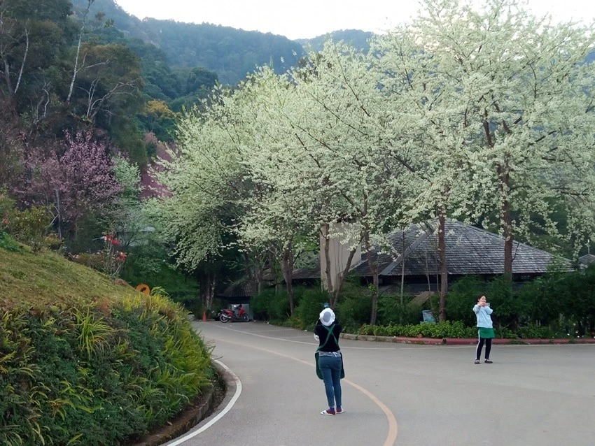 IMG_20230119_174023.jpg?type=w1600