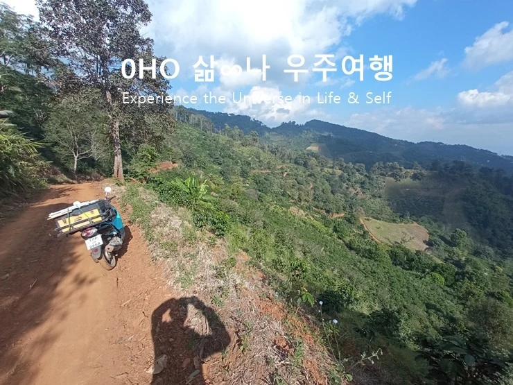 bottom.jpg?type=w1600