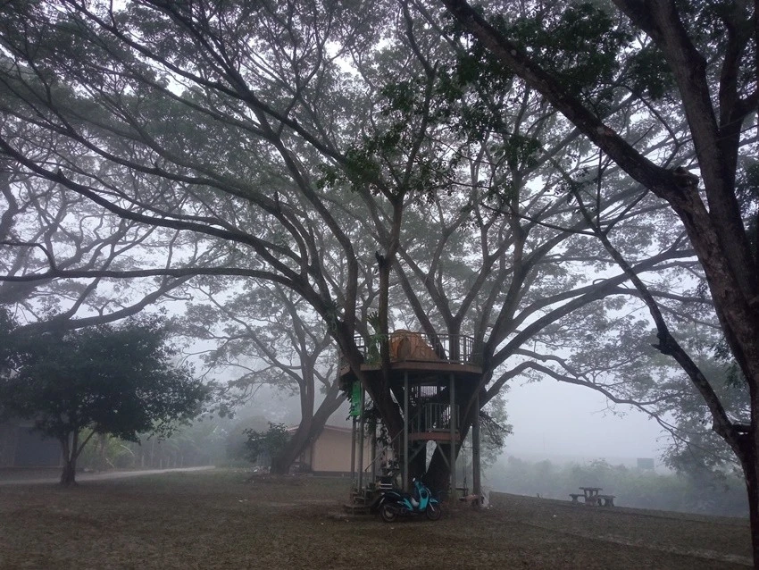 IMG_20221223_065519.jpg?type=w1600